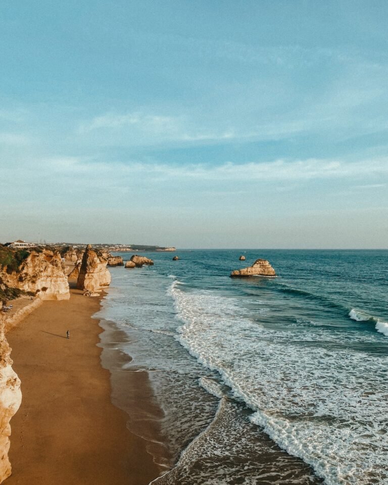 brown rock formations in the sea in portugal