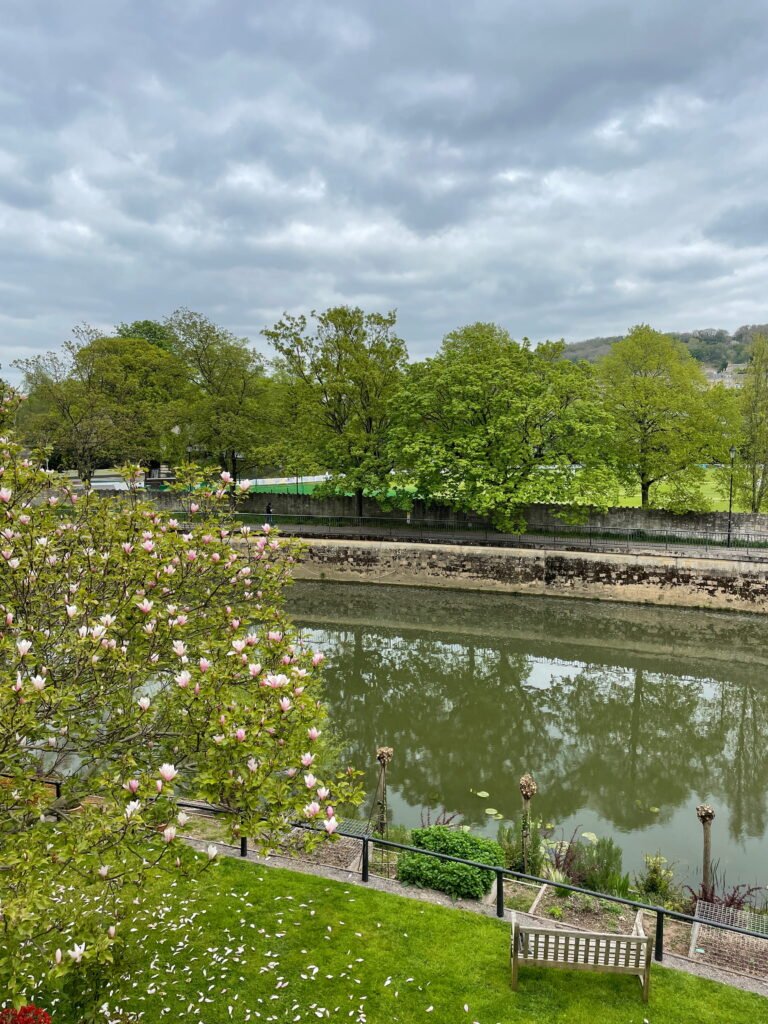 An elevated view along the River Avon showing the curved Pulteney Weir, a tree lined riverbank and Bath's grand Georgian buildings on the right. Several birds rest on the weir and float in the river beneath an overcast sky.