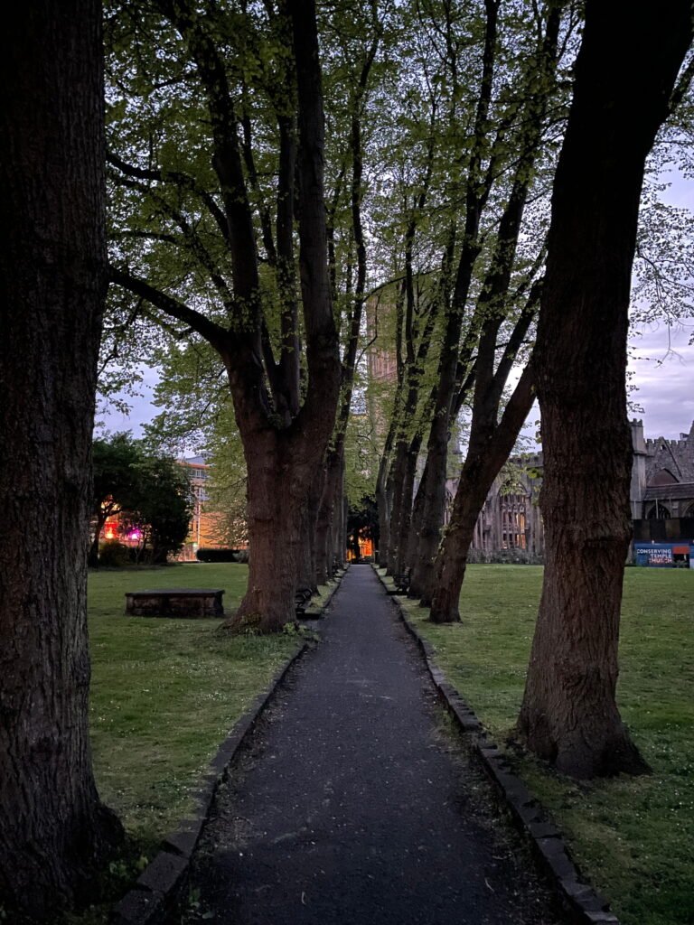 A straight tree lined path runs through a quiet green space in Bristol at dusk. Historic stone church buildings are partially visible between the mature trees.